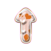 260