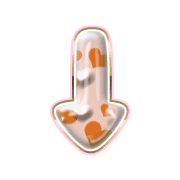 261