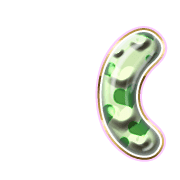 234