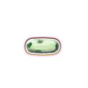 251
