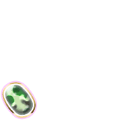 256