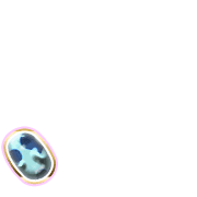 256