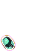 256