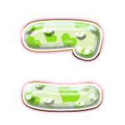 010