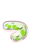 052