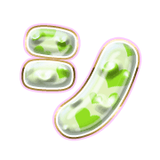 092