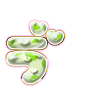 267