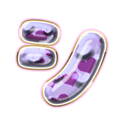 092