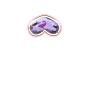 231