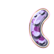 234