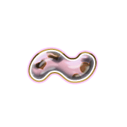 224