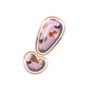 225