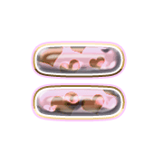 239
