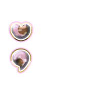 243