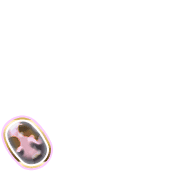 256