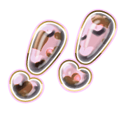 268