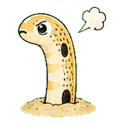 020