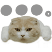 002