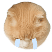 013