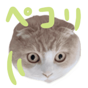 016