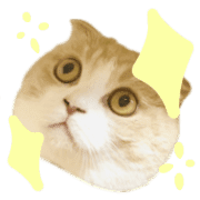 018
