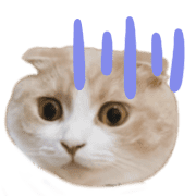 021