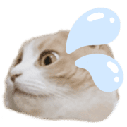 025