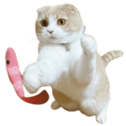 029