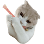 032
