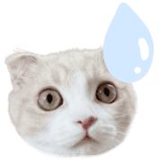 033