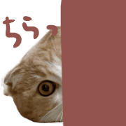 034