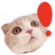 035