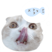 039