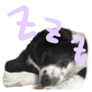 029
