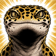 004