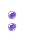 083