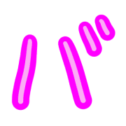 151