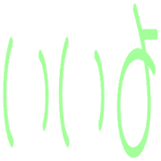 291