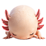 013