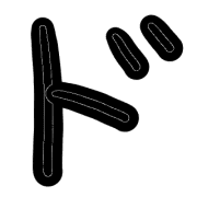 150