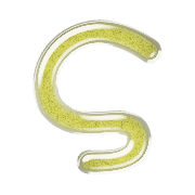 019