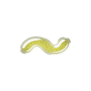 063