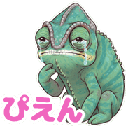016