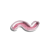 063