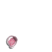 084