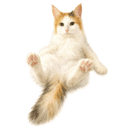 019