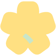 256