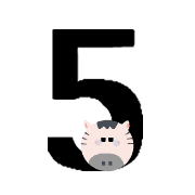 005