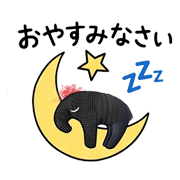 006