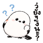 023